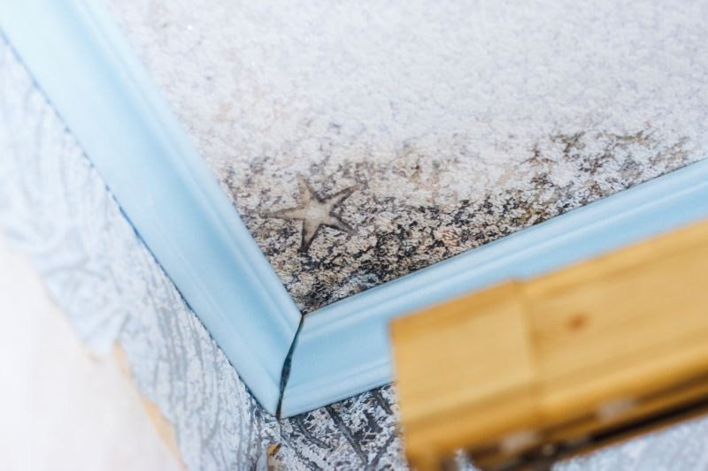 Ceiling Mold Removal in Boca Raton, FL