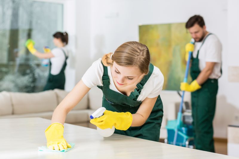 Kitchen Cleaning Service in Bellevue, WA