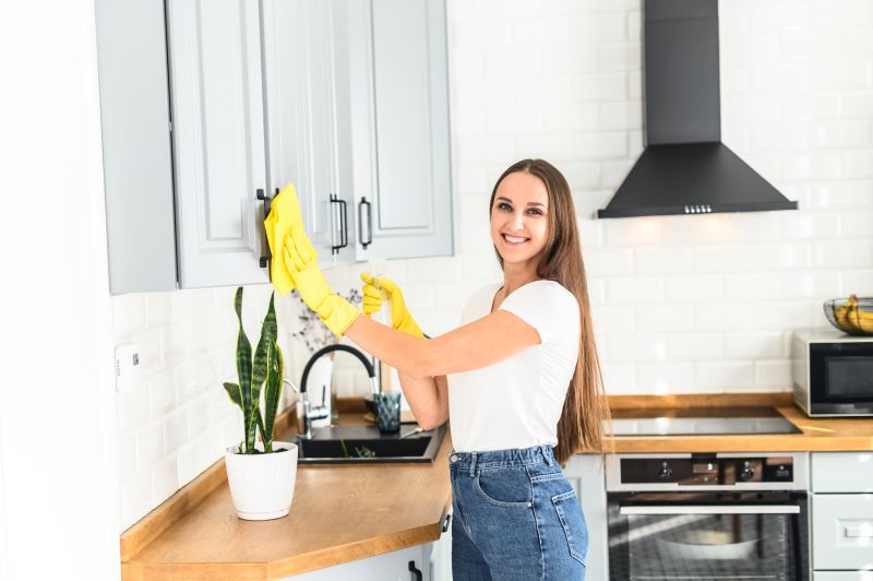 Kitchen Cleaning Service in Redmond, WA