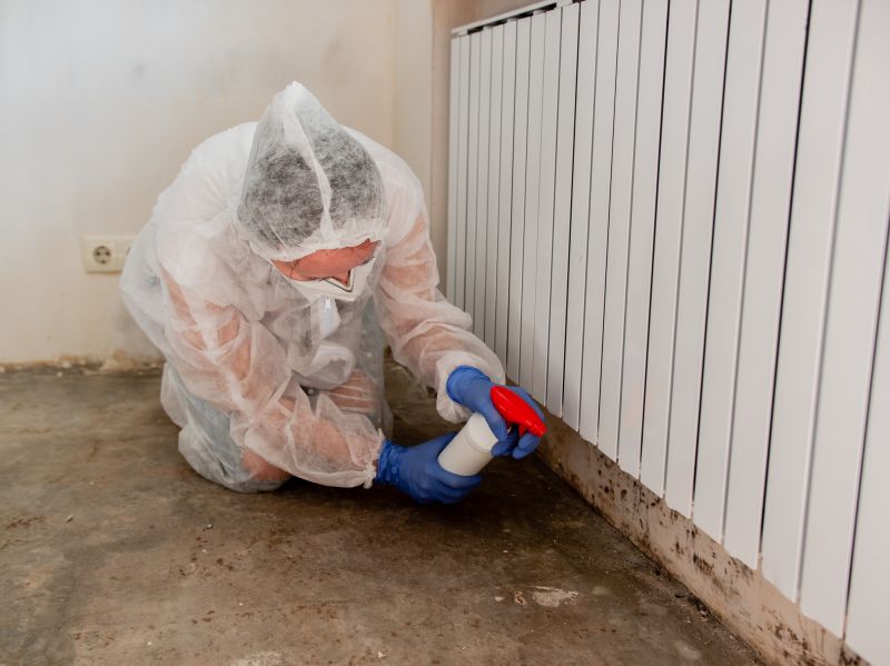 Mold Remediation Service in West Palm Beach, FL