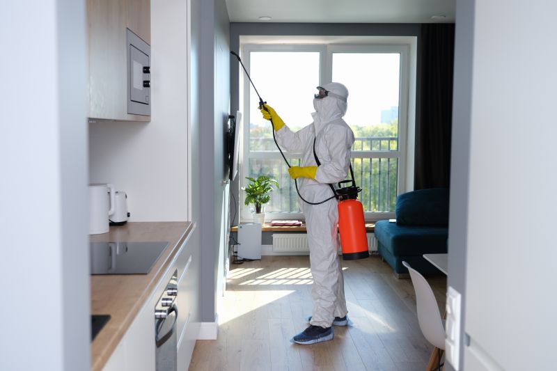 Mold Restoration in Boca Raton, FL