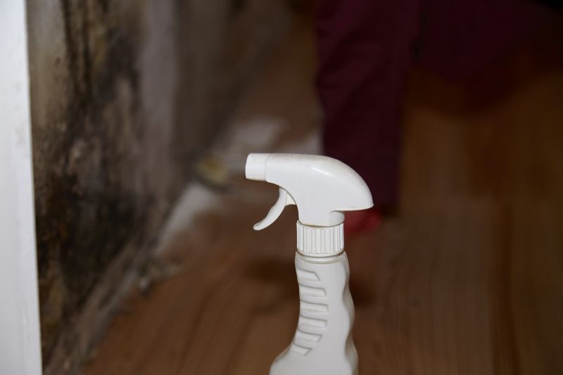 Mold Treatment Service in Dallas, TX